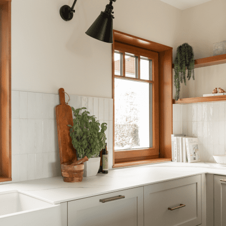 Comptoir d'une cuisine avec des étagères murales et des plantes