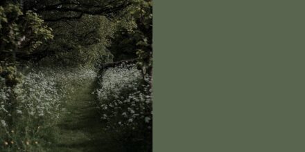 Midnight Garden de Dunn-Edwards, un vert profond inspiré des jardins nocturnes, couleur de l’année 2026.